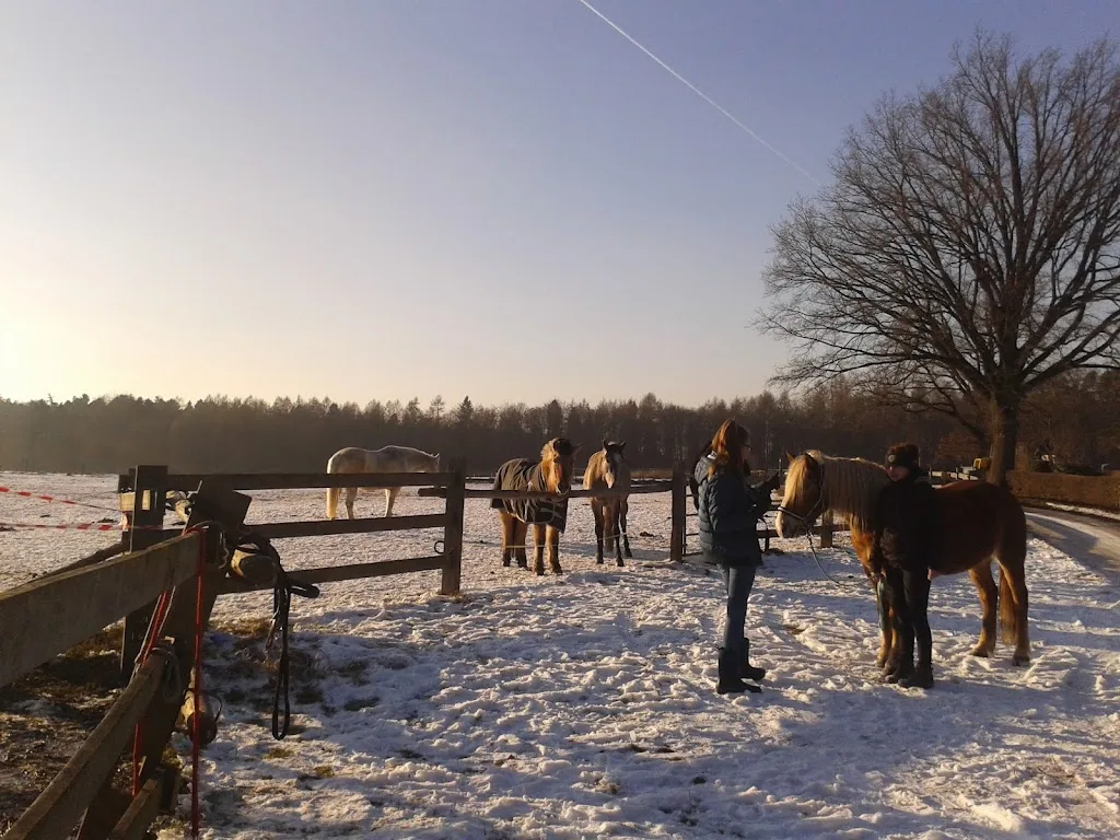Reitanlage Fröhnerhof - photo 2