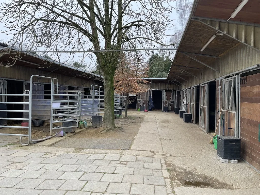 Reit- u. Fahrverein Rodderhof - photo 1