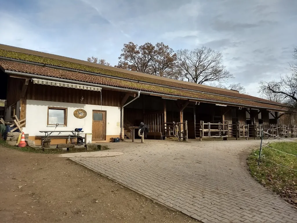 Reiterhof Steinhof - photo 3