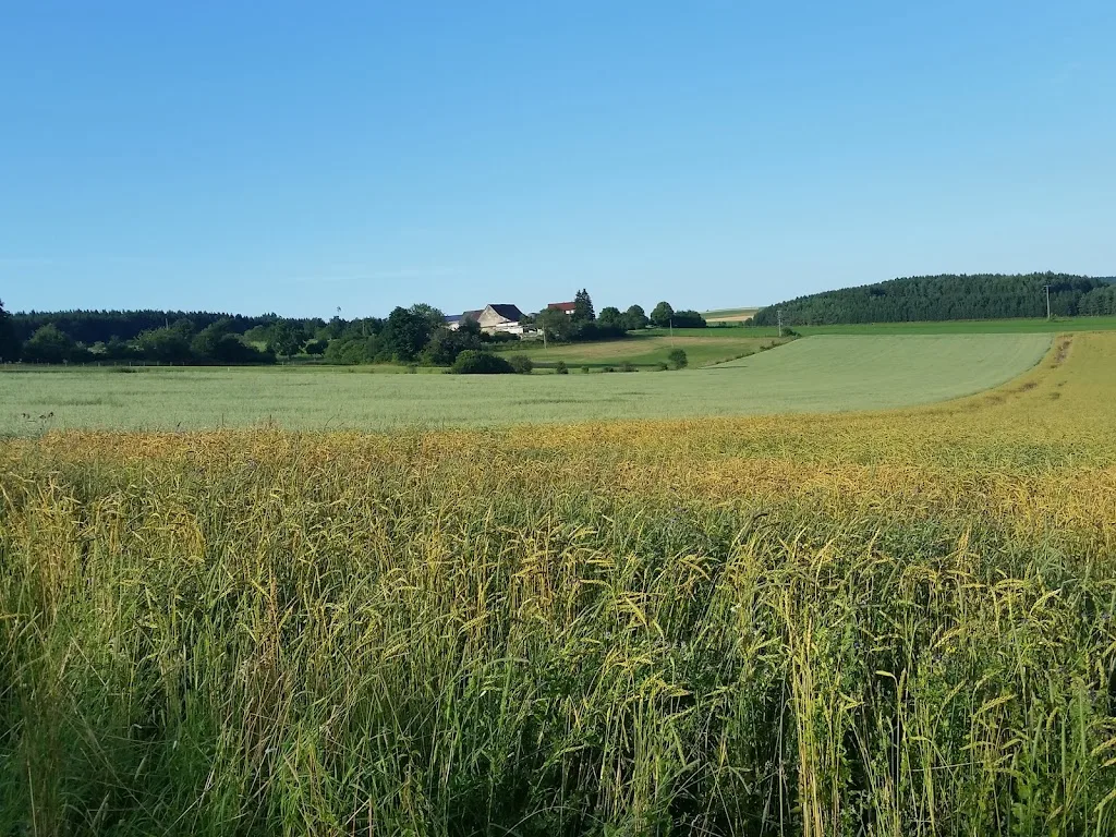 Gut Gründelbuch - photo 1
