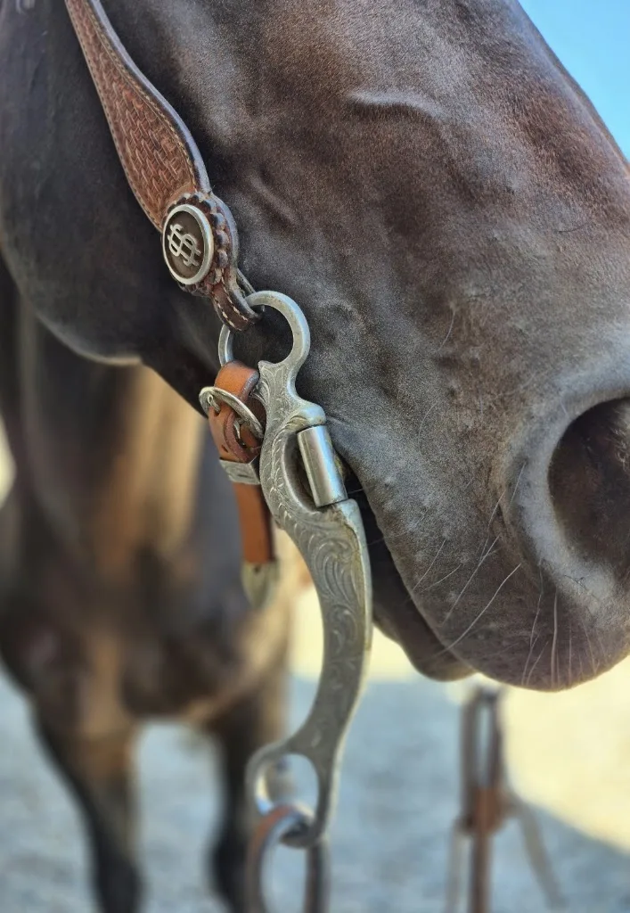 SIMEN HORSES - Foto 1
