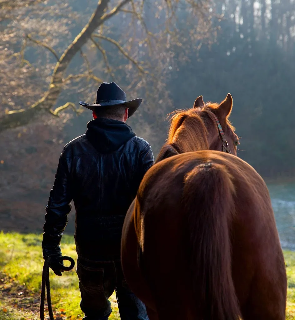 SIMEN HORSES - Foto 3