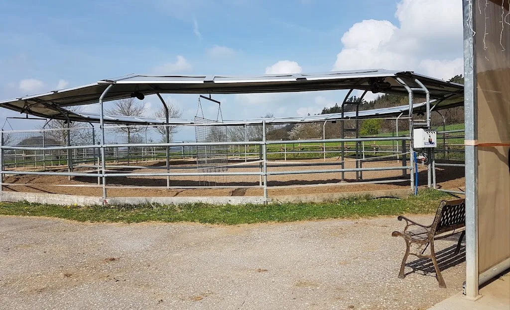Reit- und Fahrverein Aalen-Fachsenfeld u.U. e.V. - Foto 1