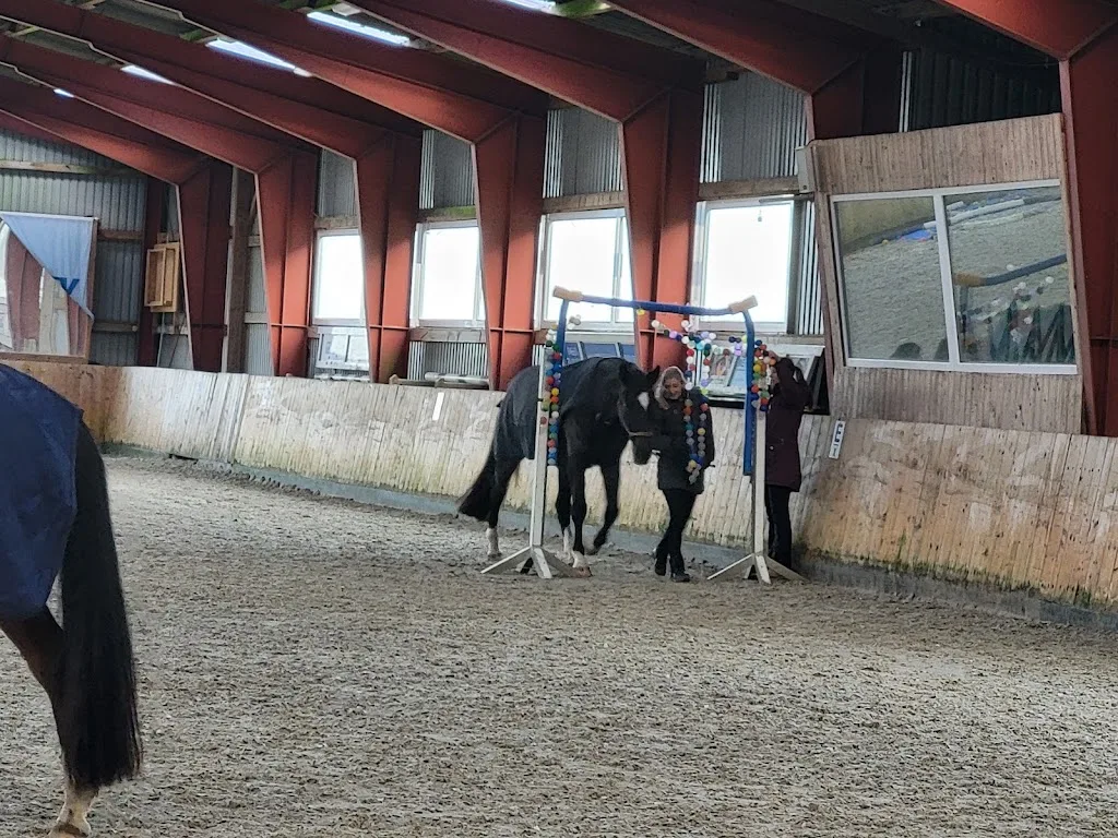Reitstall Westerhof - photo 1