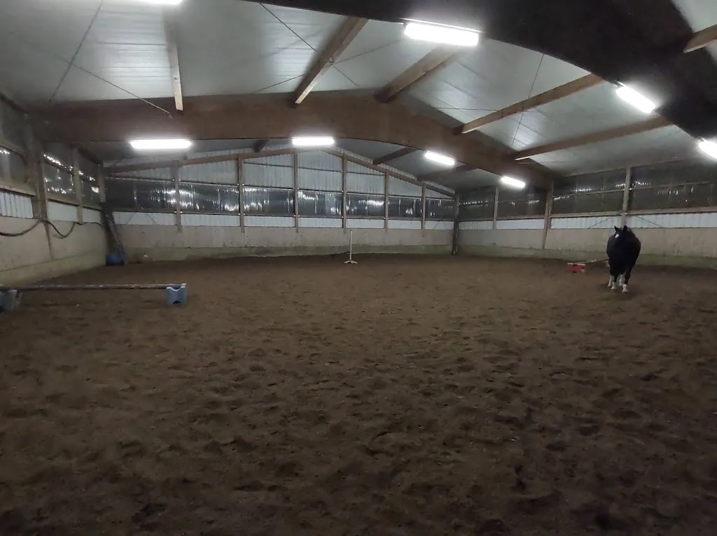 Reitanlage im Schillinger - Foto 1