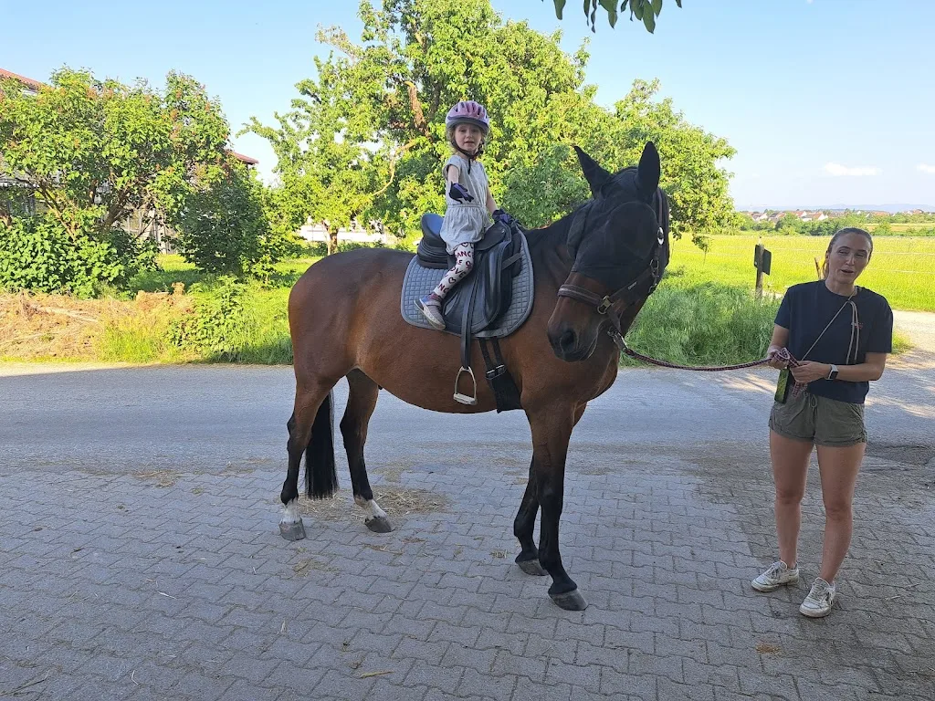 Reitanlage im Schillinger - Foto 2