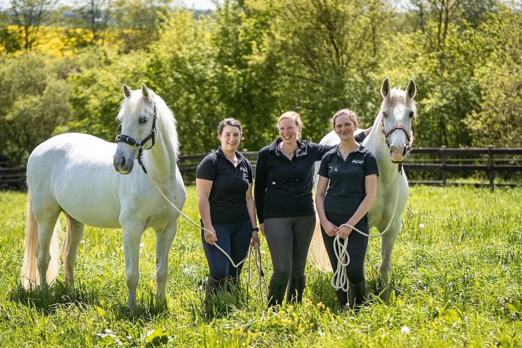 equi-art Reitkunst GmbH - Foto 1