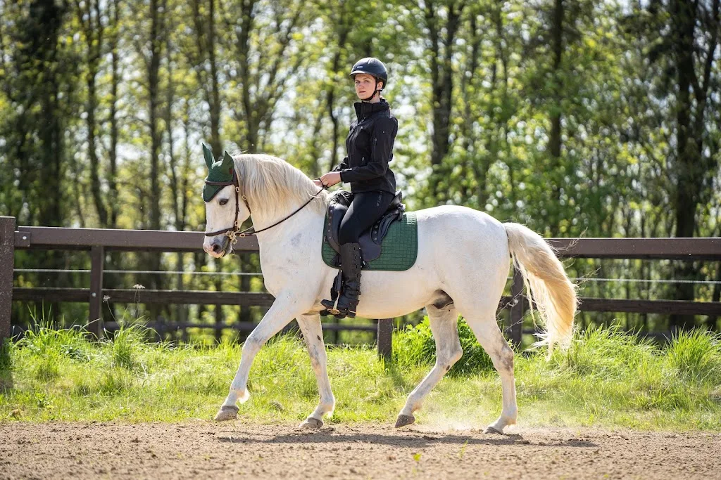 equi-art Reitkunst GmbH - Foto 2