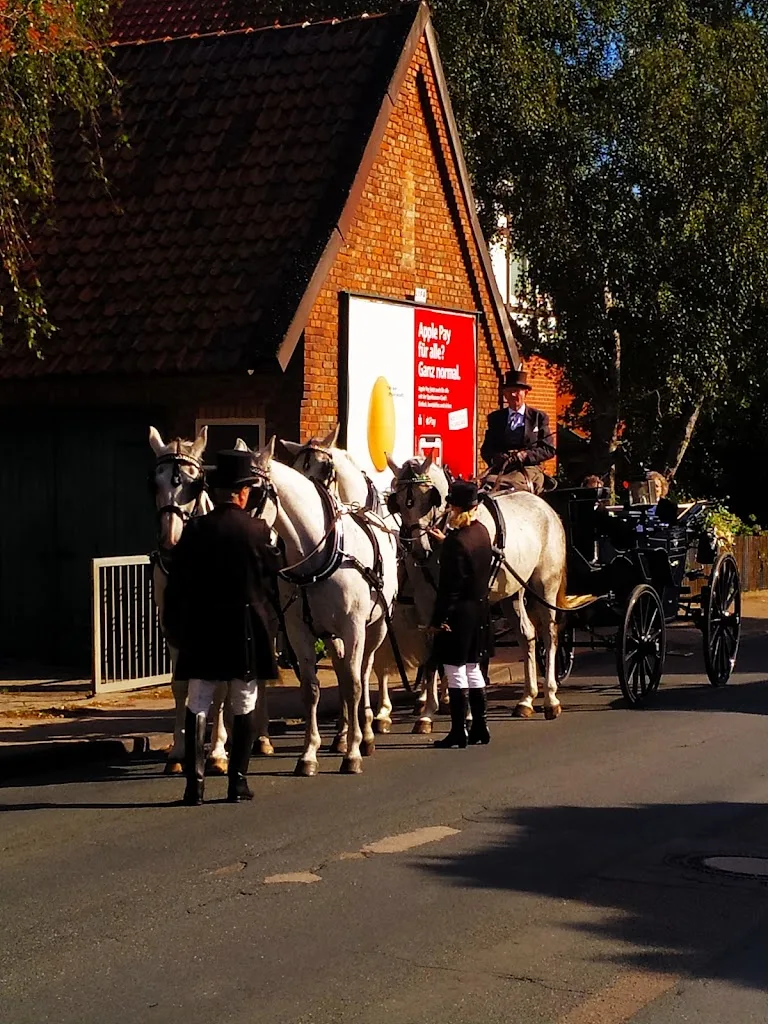 Islandpferde "Am Königshofe" - Foto 1