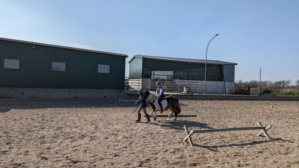 Reitstall Thomsen - Foto 1