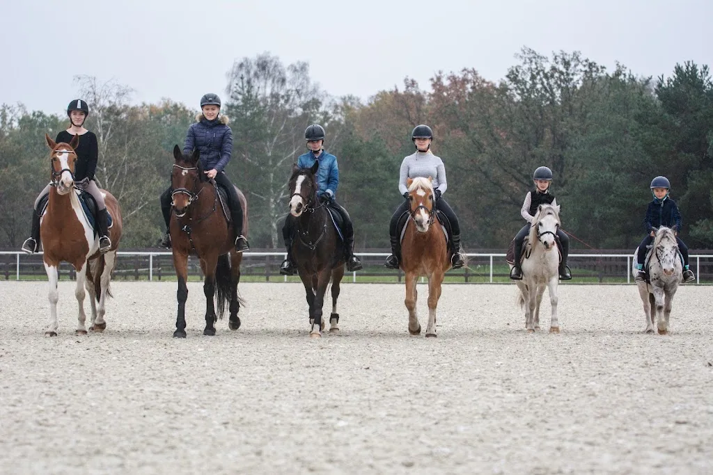 Reitstall Thomsen - Foto 3