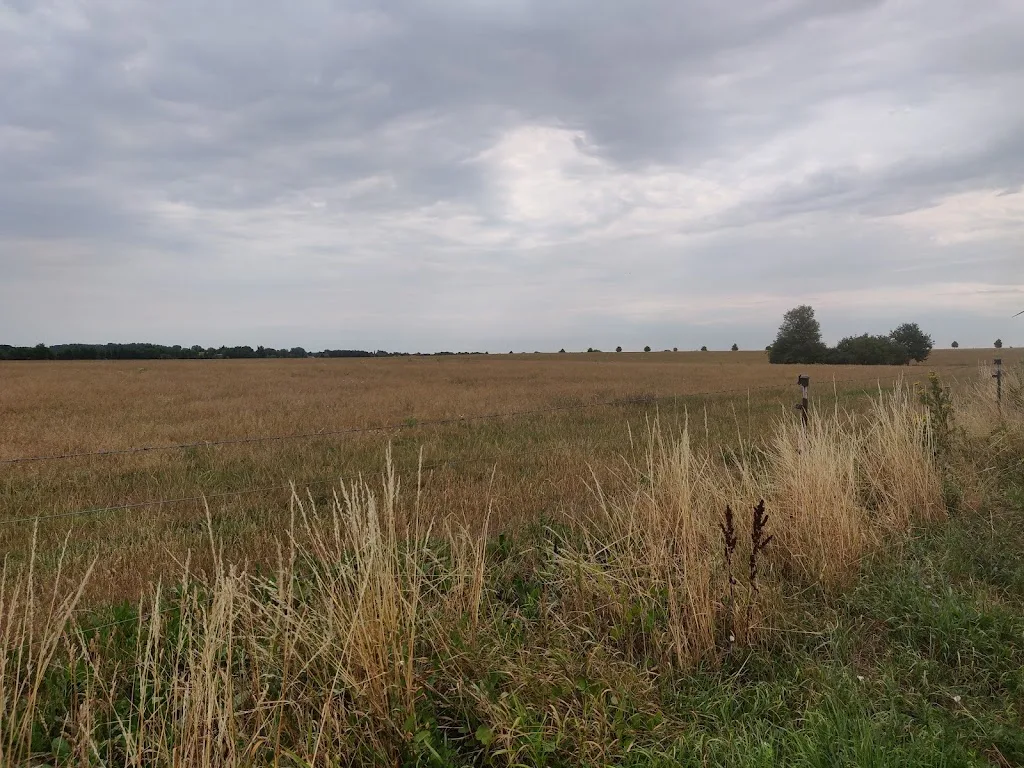 Pferdestall Kladrum - photo 2