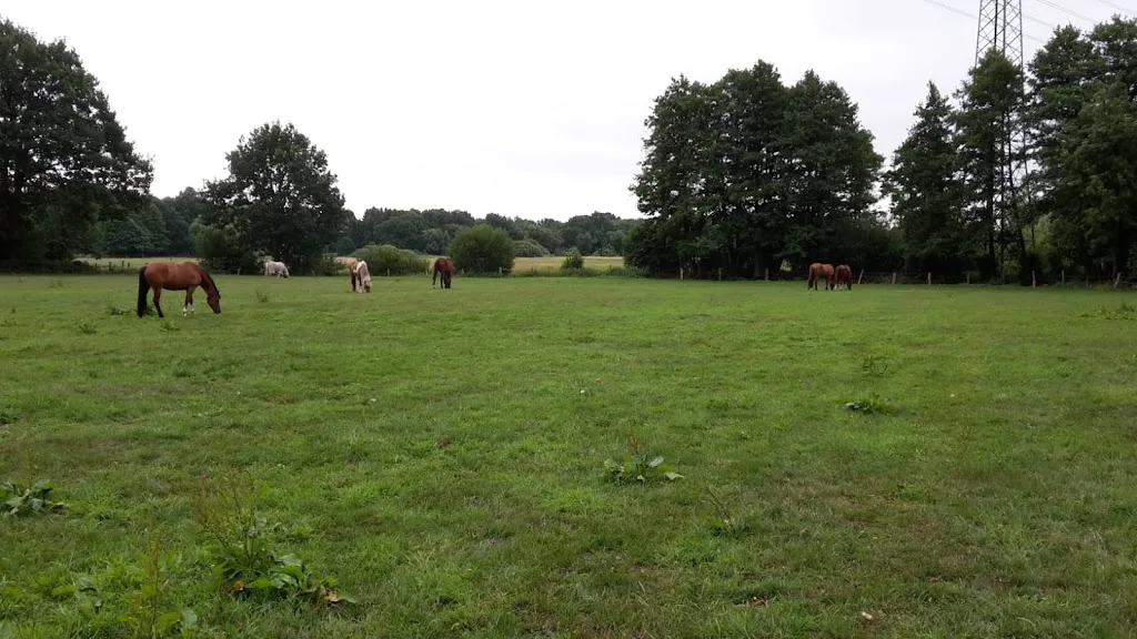 AKTIVhof Eichlohe KG - Foto 3