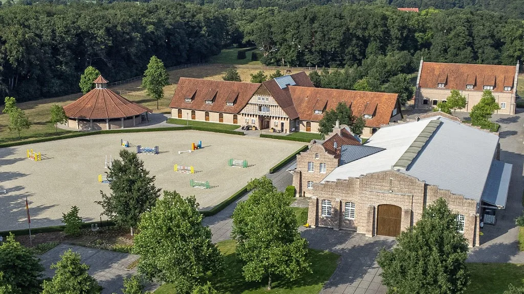 Fohlenhof Felsen Zucht und Sportpferde Zey GbR - photo 3
