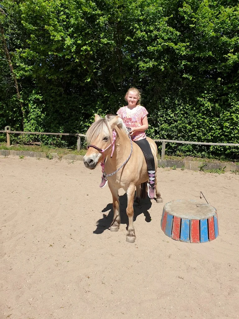 Ponyhof am Tangstedter Graben - Foto 1