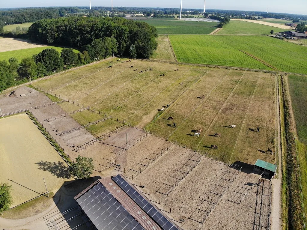 Gestüt hessenspoor - Foto 2