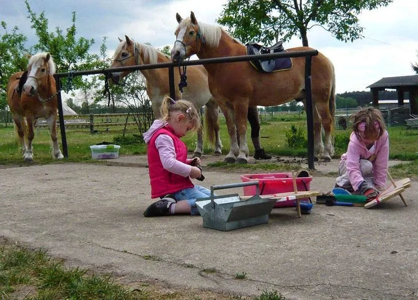 Reitschule Vier-Eichenhof - Foto 1