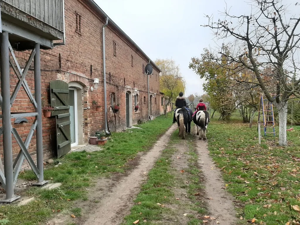Reitschule Vier-Eichenhof - Foto 2