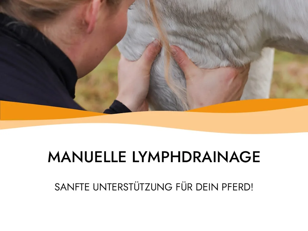 Pferdephysiotherapie und Dorntherapie - CAVALYSIO - Lea Braun - Foto 1