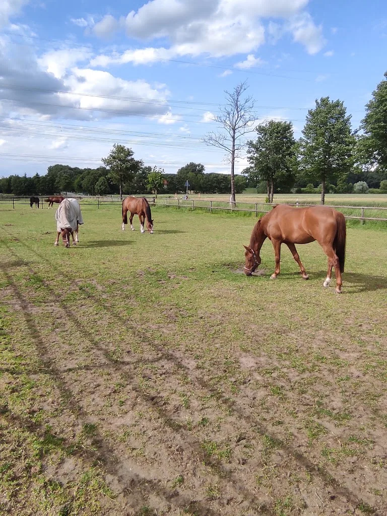 Silver Lining Ranch - Foto 3