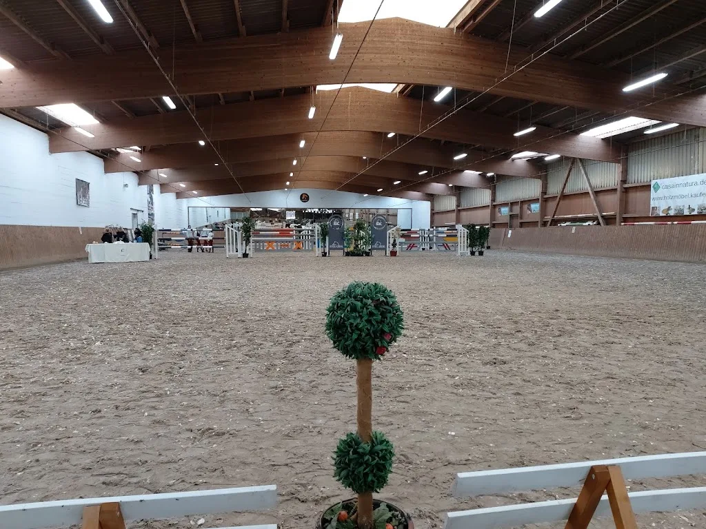 sportpferde schiele - Foto 1