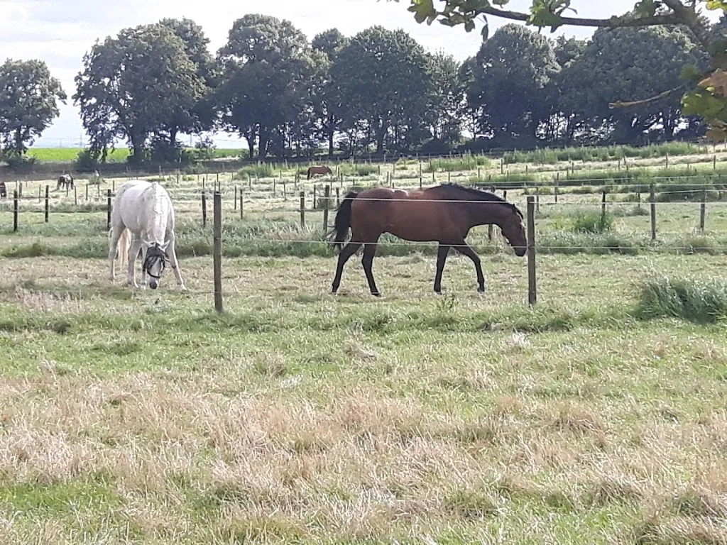 Reitstall Rosmarhof - photo 1