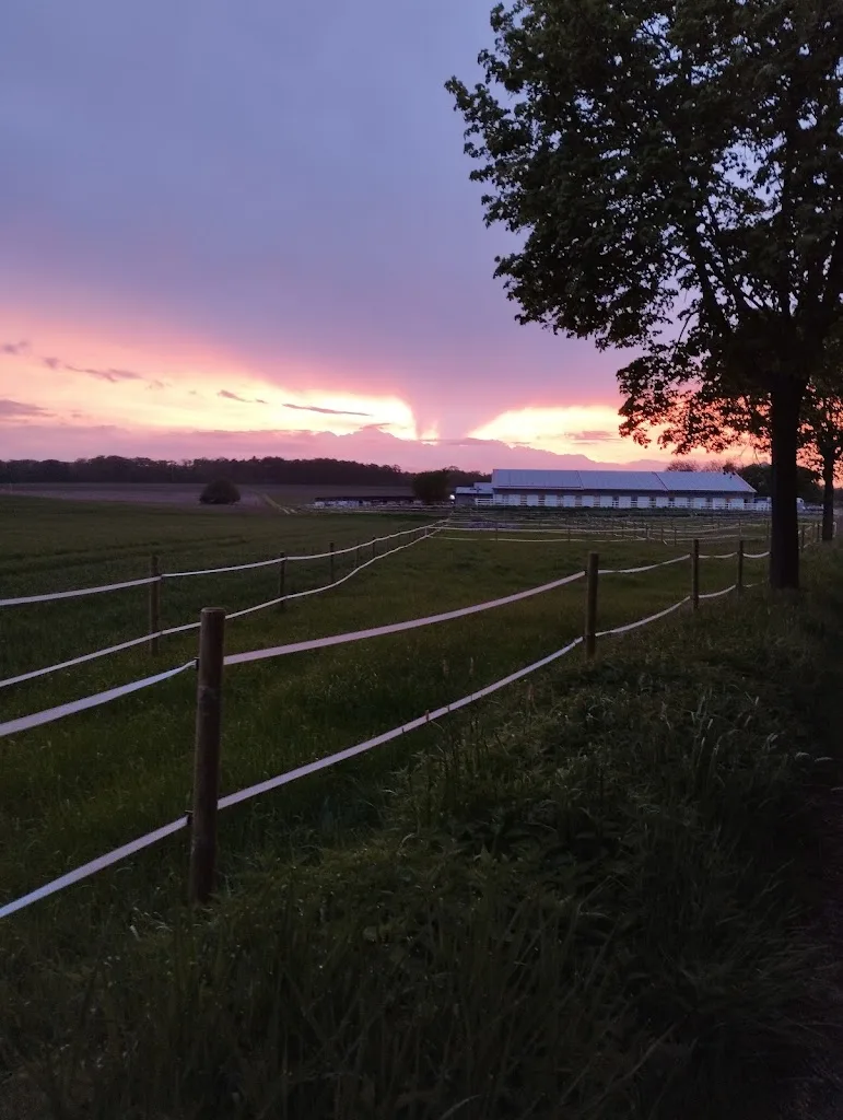 Pferdehof Henseler - Foto 1