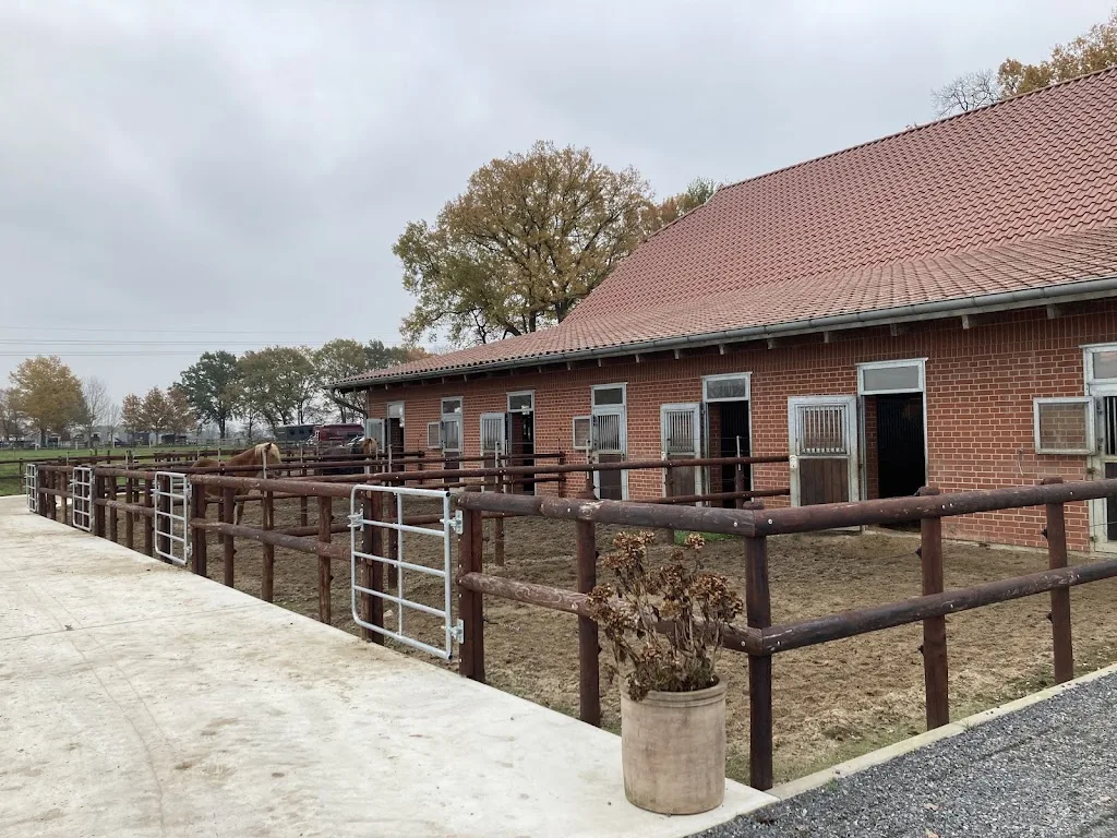 Islandpferdehof Goldgrund - Foto 1