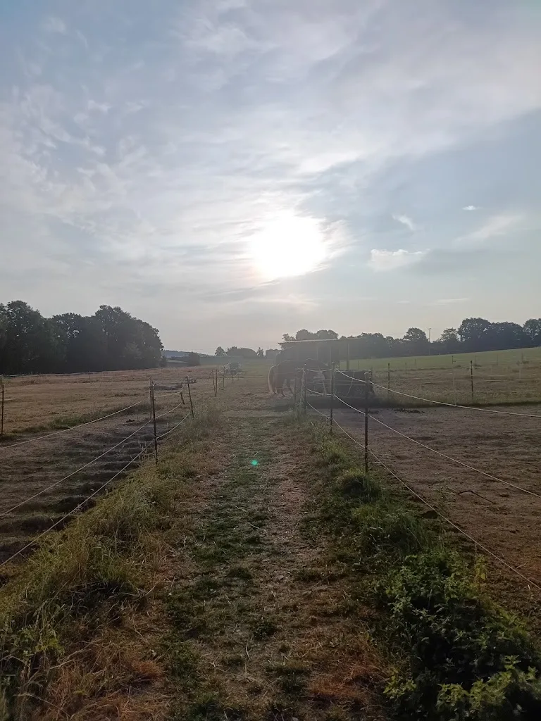 Falkenhof - Foto 2