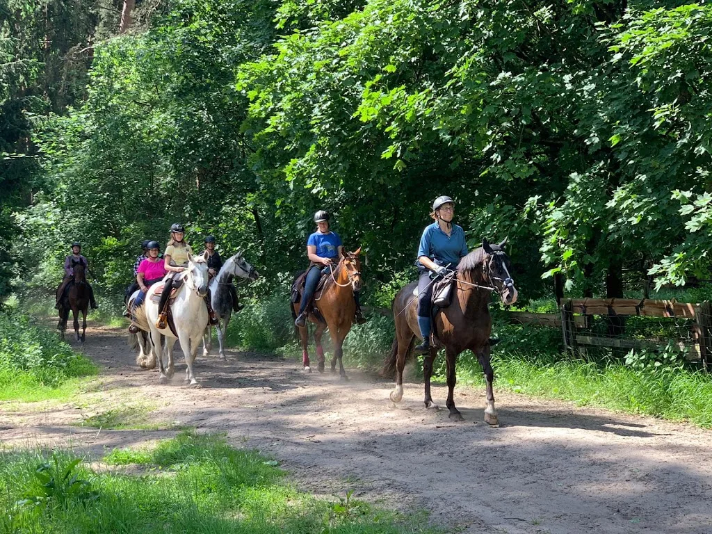 Double-C-Ranch - Westernreiten in der Südheide - Foto 3