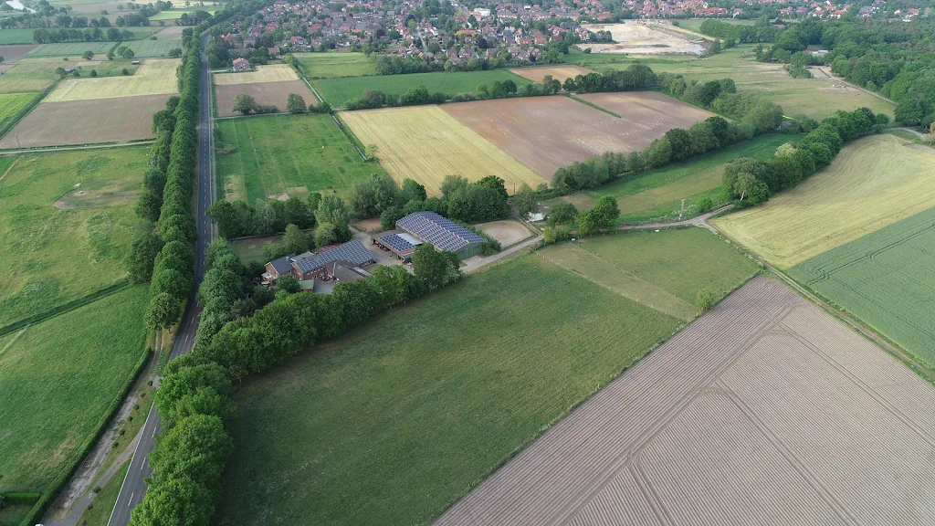 Pferdezucht und Pferdesport - photo 1