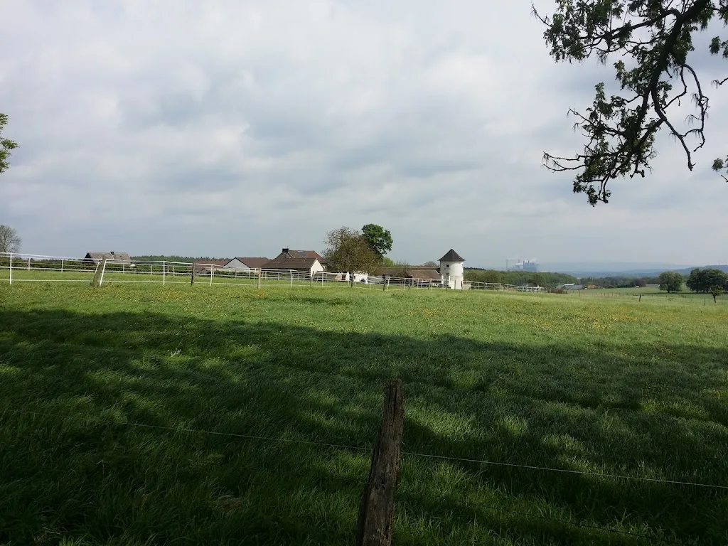 Pferdewelt-Venwegen - Foto 2