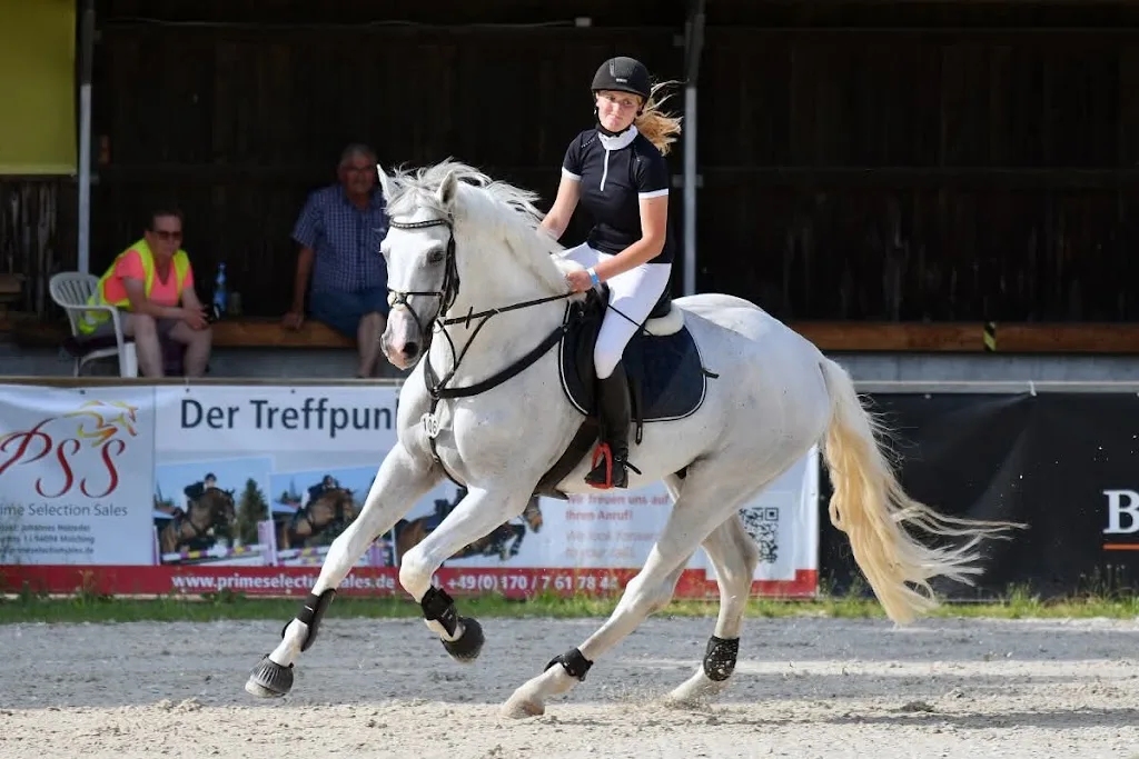 RL Westernriding Step by Step - photo 1