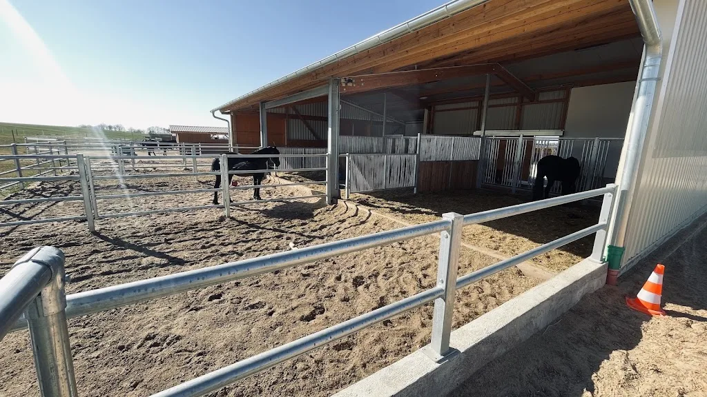 RL Westernriding Step by Step - photo 2