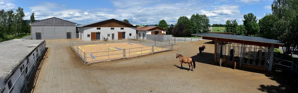 Reiterhof Kirchner - photo 2