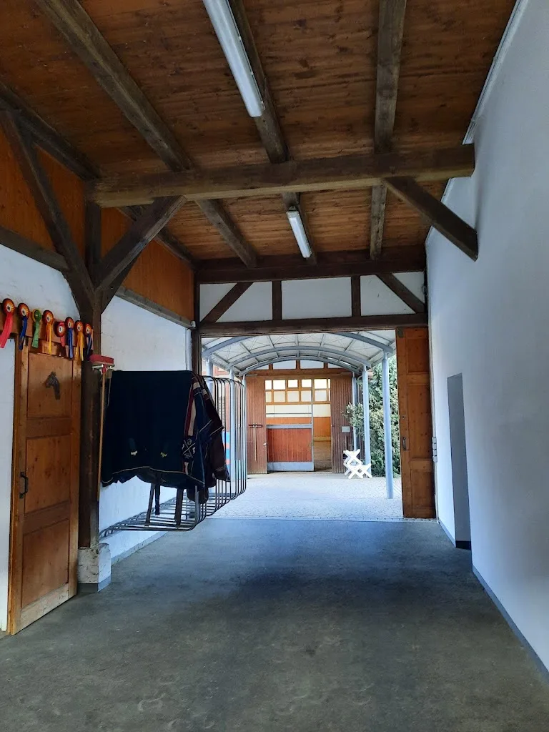 Reitschule und Pensionsstall Schimmerwald - Foto 1