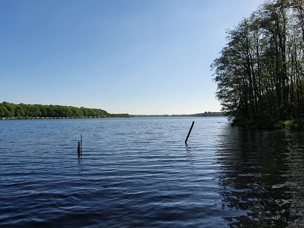 Bright Lake Ranch - Foto 2