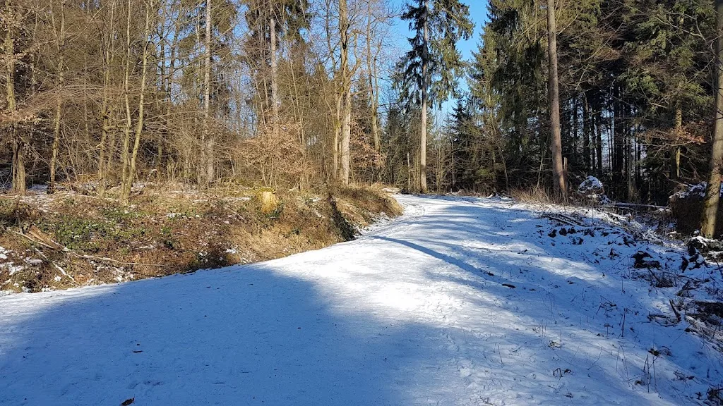 Reitanlage Sandberg GmbH - photo 2