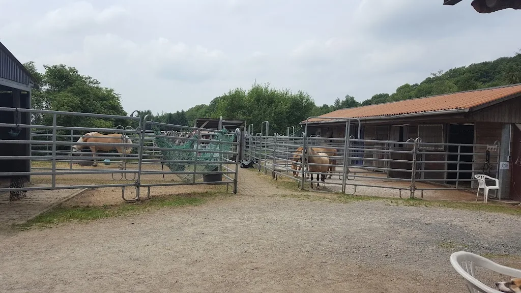 Reitanlage Selkinghausen - Foto 1