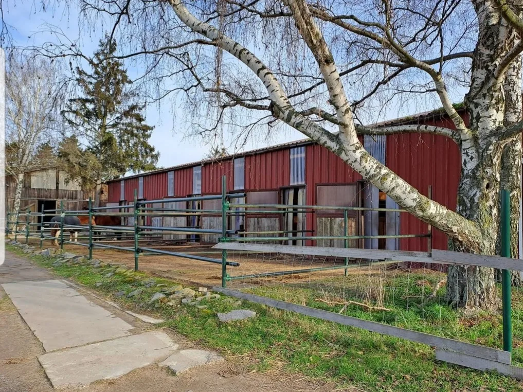 Reitanlage Moser - photo 3