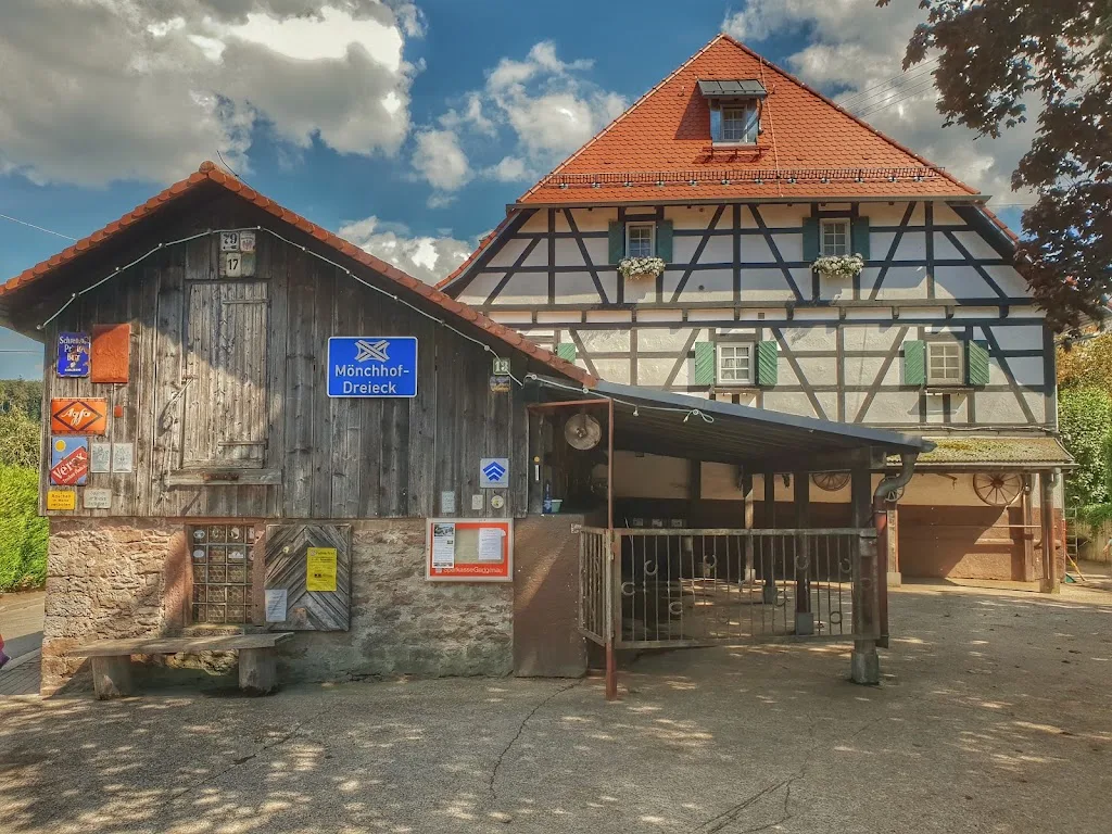 Islandpferde Stiftsmühle - photo 1