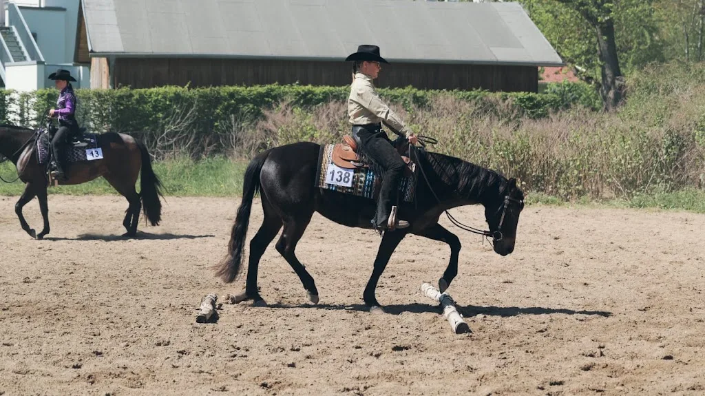Keidel-Ranch Ponyhof Behrenbruch - Foto 1