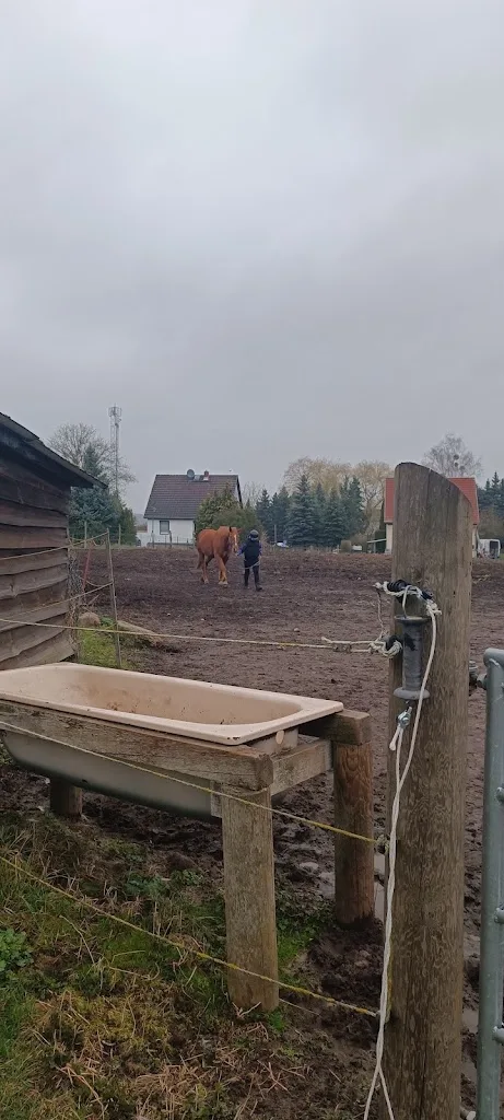 Lisa's Pferdehof - Foto 2