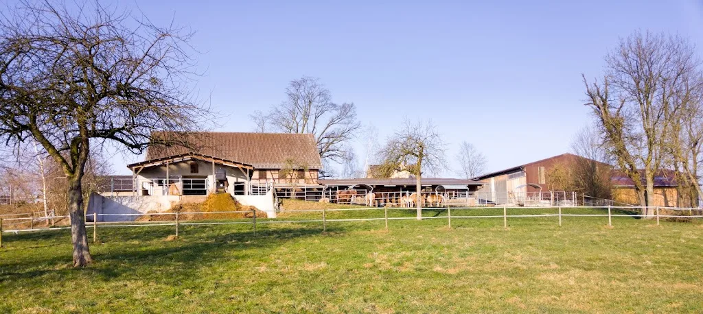 Pferde Reitstall - Foto 2