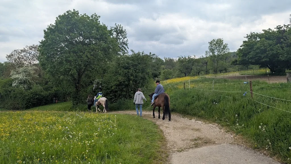 Sandra Grauer • Reittherapie • Pferdepension • Reitunterricht • Ferienfreizeiten für Kids - Foto 1