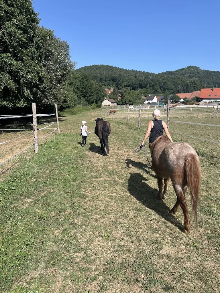 Ponyfarm Frechdachs & Dietzhofer Mühle - Foto 3