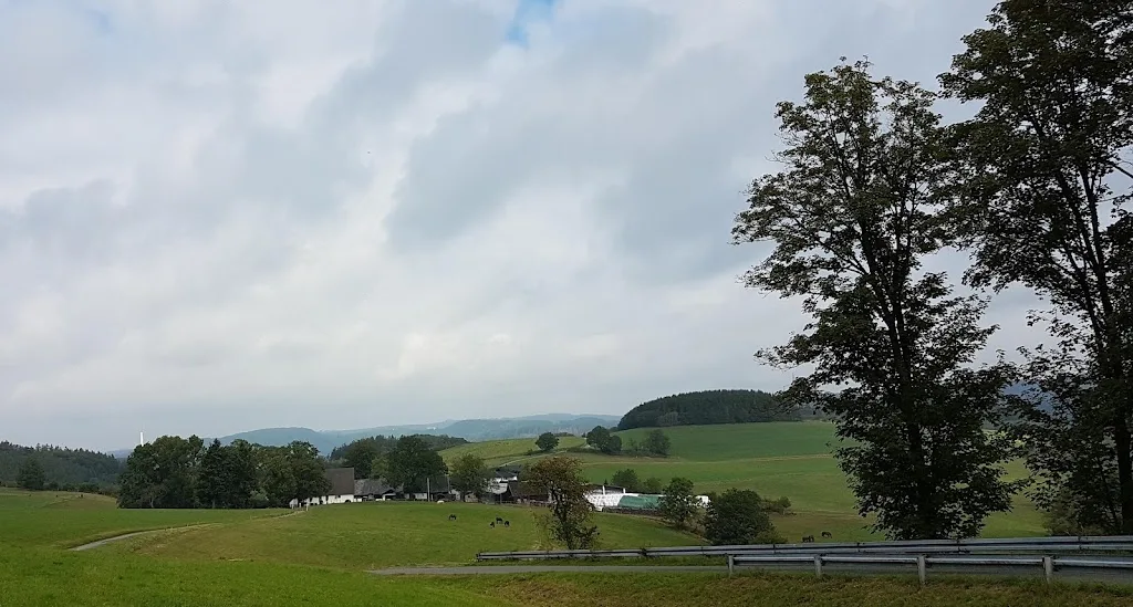 Reiterhof Noelle Planwagenfahrten, Hochzeitskutschen und Pferdepension - photo 1