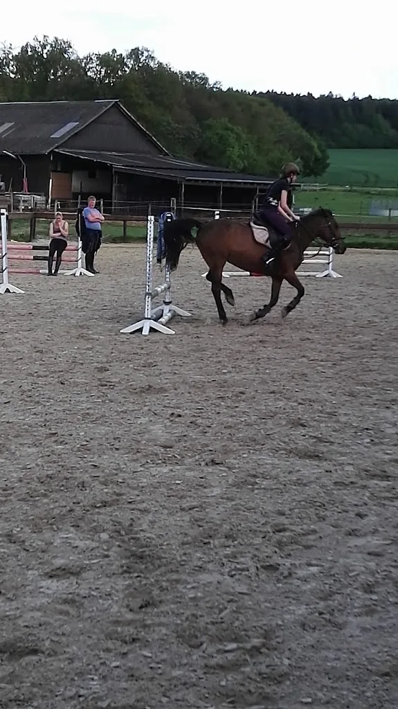 Reitstall Schlaeger - photo 2