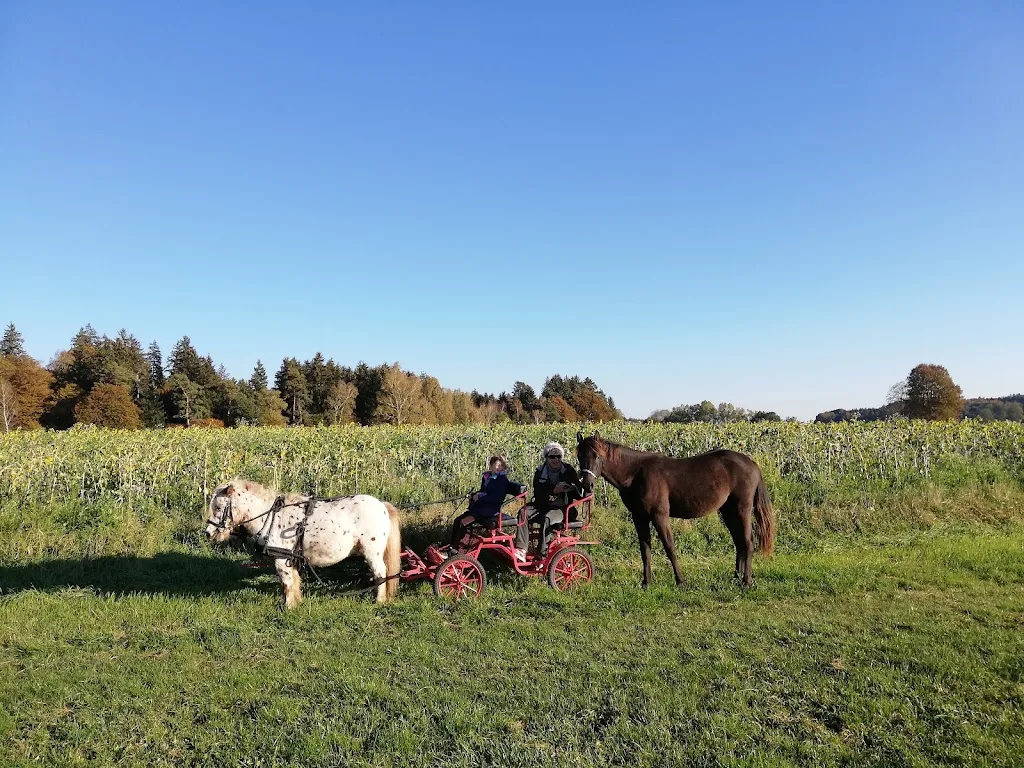Aktivstall Aichbuehl - Foto 1