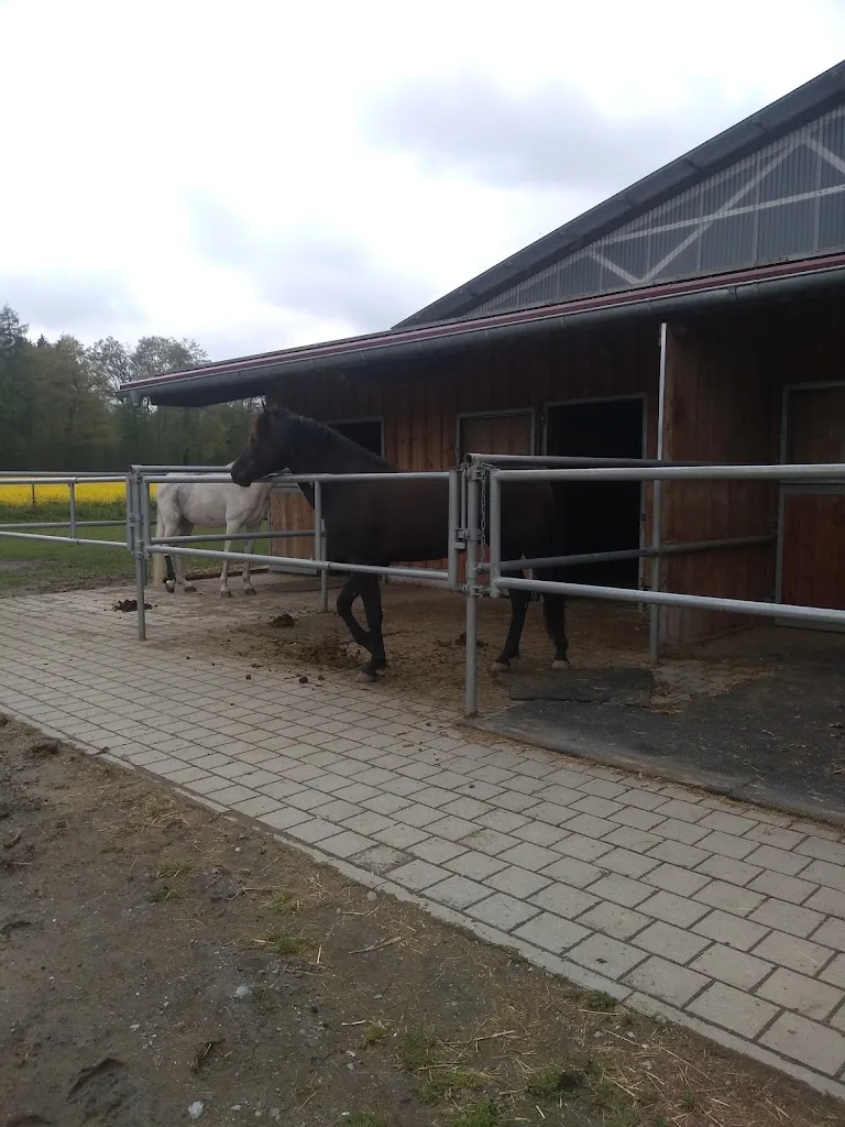 Aktivstall Aichbuehl - Foto 2